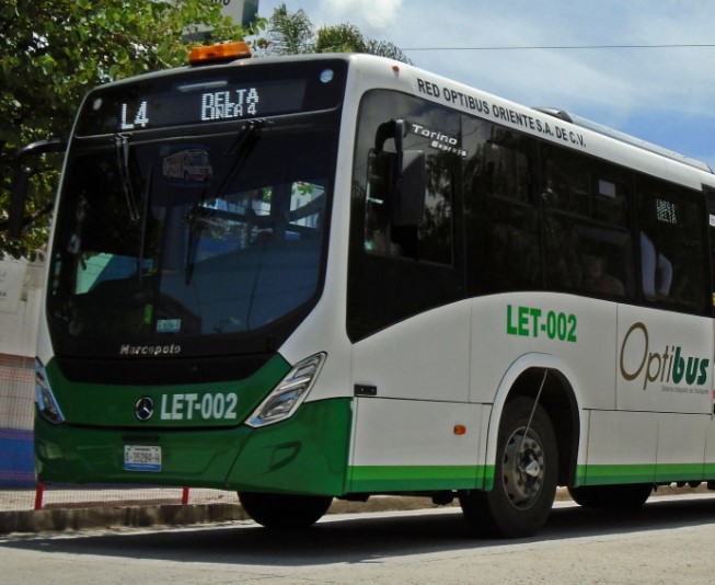 linea.4